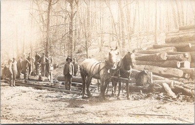 RPPC Postcard - Loggers Logging with Horses / Horse Team circa 1907-1922 (A8)