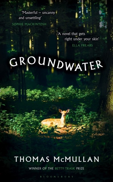 Groundwater - Image 6