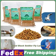 Bulk Dried Black Soldier Fly Larvae BSF Food for Chickens Wild Birds Turtles Lot