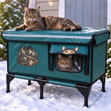 Outdoor Cat House - Weatherproof, Waterproof Insulated - Green