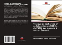 Akinmadeyemi Joseph Olofintoye | Travaux De Recherche En Collaboration Du...