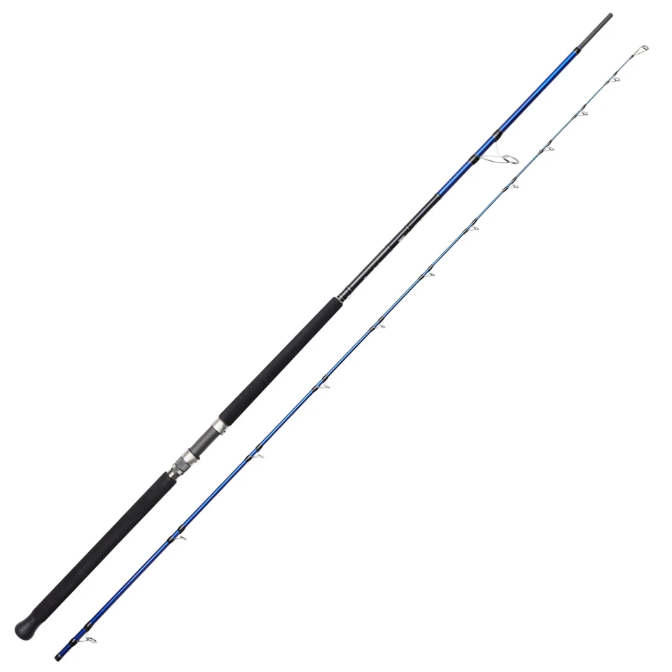 Savage Gear 3.05m 60-150g SGS6 Shore Jigging - Spinnrute, Angelrute für das Meer - Bild 1 von 1