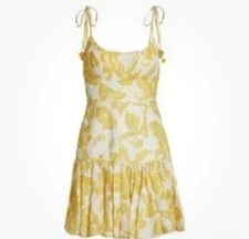 ZIMMERMANN Fit & Flare Mini Dress Size 0