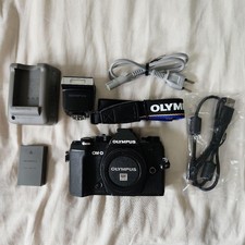 Olympus OM-D E-M5 III Camera Body with Flash - Used, Excellent Condition Japan