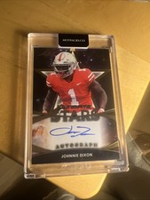 2019 Leaf Johnnie Dixon Auto /10