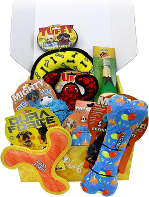 - Mighty - DURAFORCE - Silly Squeaker- Celebration Box. Durable, Squeaky Dog Toy