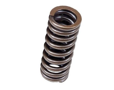 BLOX Racing Valve Springs for D-series SOHC VTEC D16Z-Y   Fits Honda Civic & Del