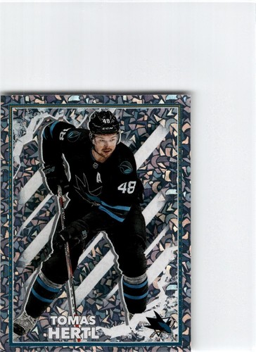 2022 Tomas Hertl #395
