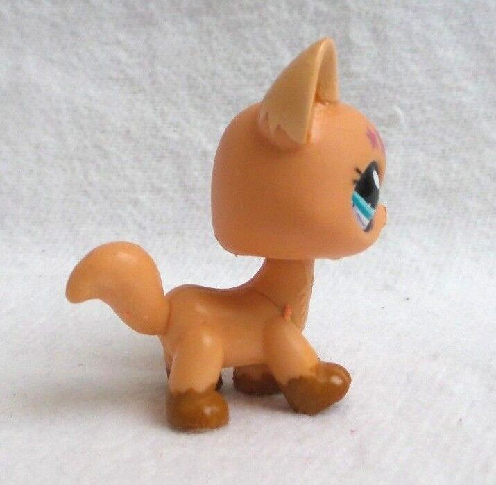 Littlest Pet Shop HASBRO – Chat Maine Coon Authentique, Variante LPS