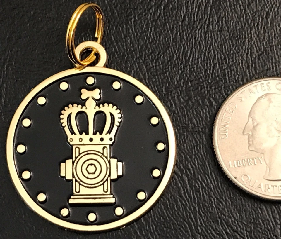 Loot Crate Pets August 2017 “Kingdom” Dog Pet Tag New Gold & Black Collar Charm - Image 3 of 4