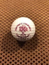 PING GOLF BALL/S-PLUM PURPLE/WHITE PING EYE 2.NW COMM CHURCH SCH LOGO..10/10
