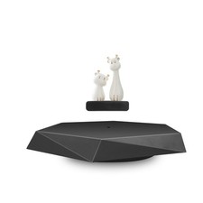 Levitating Display Stand,Magnetic Floating Display with Stand for Toys,Figure...