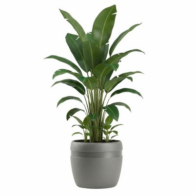 LUNA CLASSIC Blumentopf, anthrazit, 32,8 cm