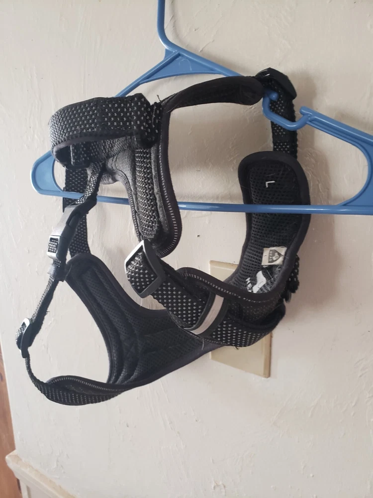 dog harness large