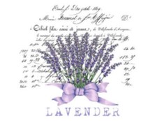 Vintage French Advertising Lavender Furniture Transfers Waterslide Decals MIS607