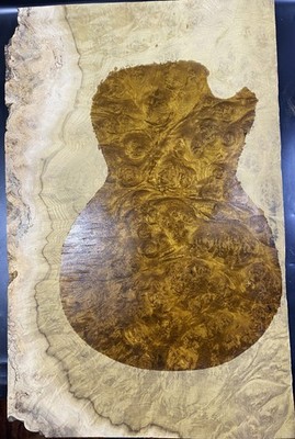 Craft Guitar drop Top Veneer Golden Phoebe Wood Burl  Luthier Supply