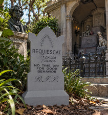 Haunted Mansion Francis Xavier Tombstone Indoor Outdoor Halloween Cemetery Decor