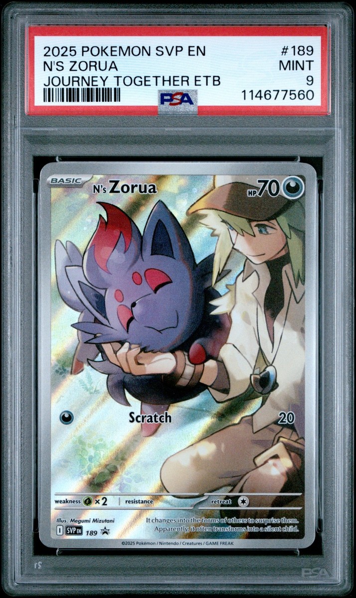 N's Zorua 189/159 Promo Journey Together Elite Trainer Box Pokemon