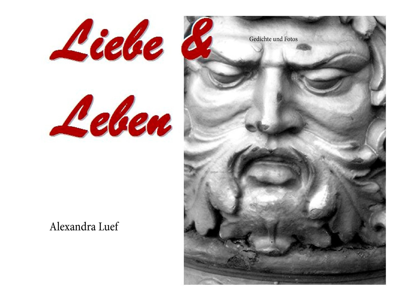 Thumbnail - Alexandra Luef | Liebe & Leben | Buch | Deutsch (2014) | Gedichte Und