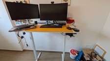 120x60 cm Scrivania Regolabile in Altezza Elettrica per Lavoro in Piedi Ufficio