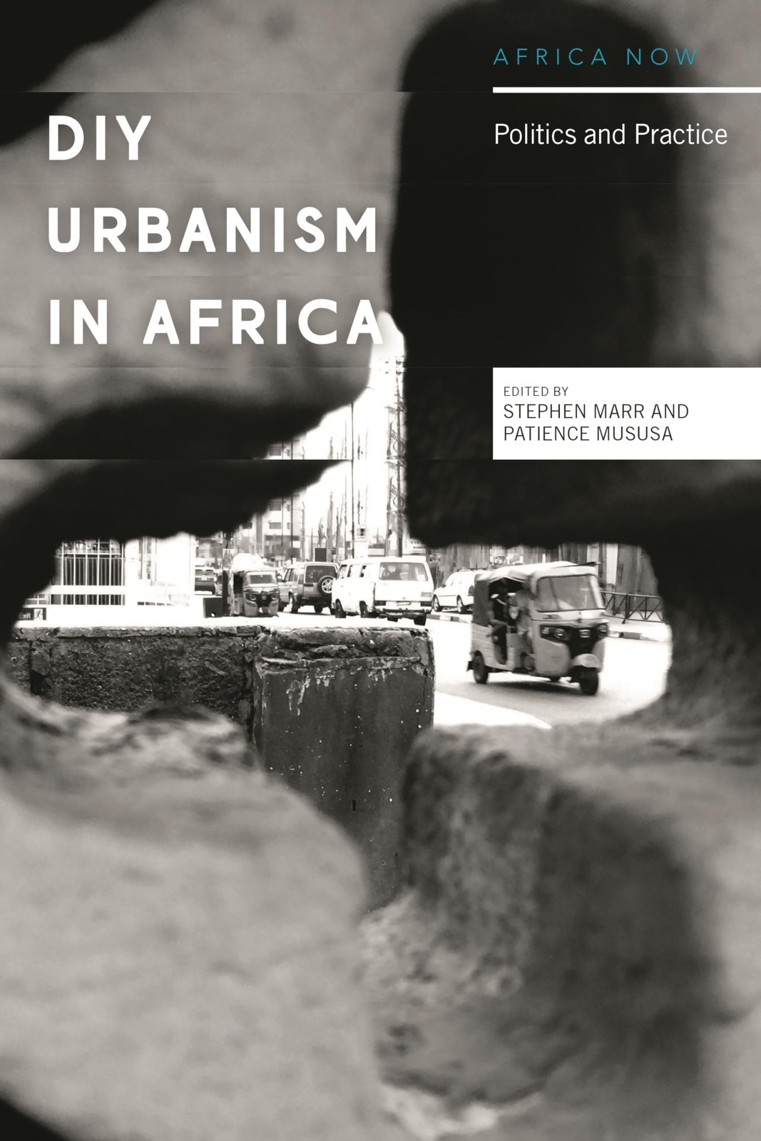 Diy urbanism in africa: politics and practice (africa now)