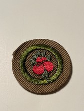 Boy Scout Merit Badge Fruit Culture 