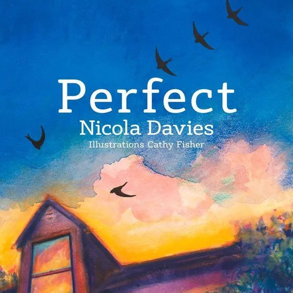 Nicola Davies | Perfect | Taschenbuch | Englisch (2018) | Graffeg Limited-image