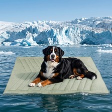 Cooling Mat for Dogs, 150x102cm No Gel Dog Cooling Mat, Cool Fabric Top Vel...
