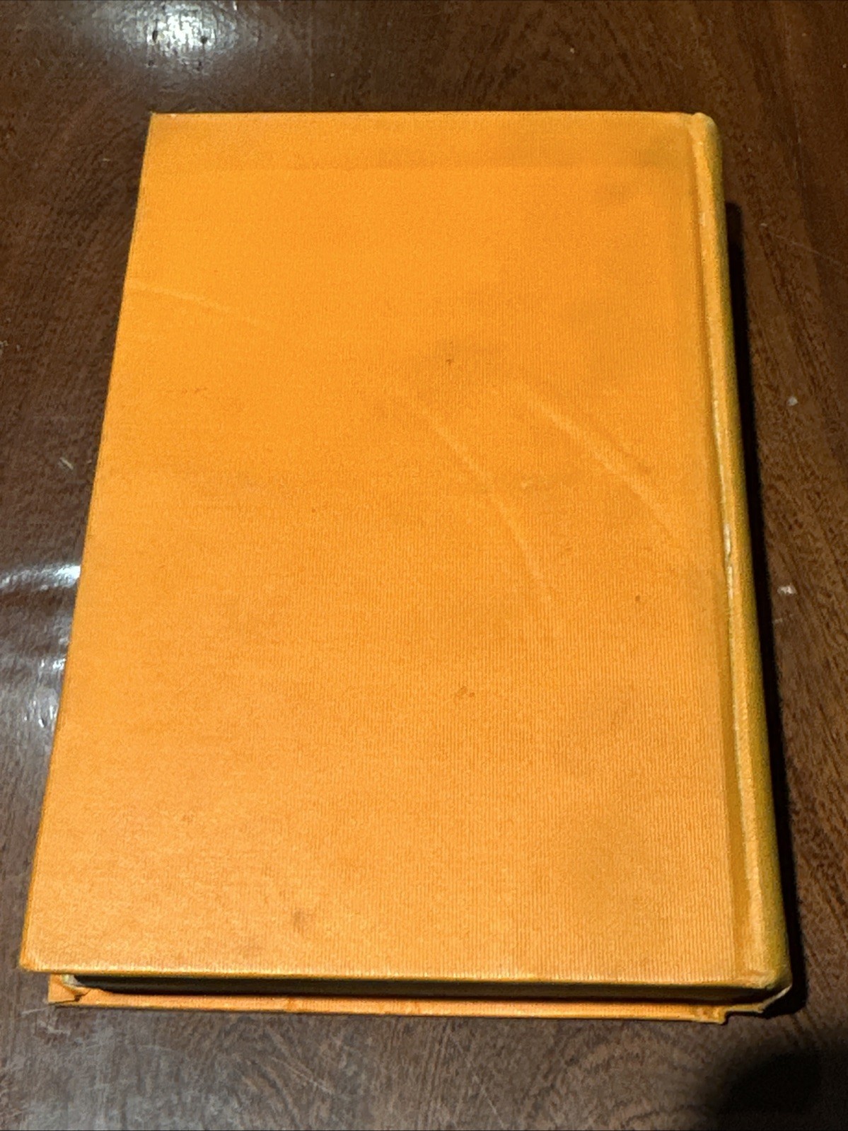 Sarah Bernhardt The Idol of Paris 1ST ED HC DJ 1922 B-111225