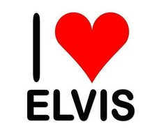 Elvis  12 - 8 x 10 Tee Shirt Iron On Transfer I Love Elvis