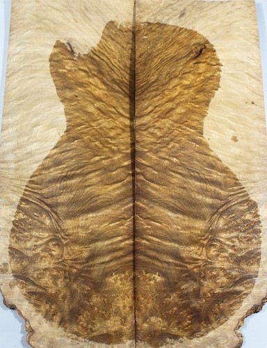 Electric Bass Top Birdseye Quilted Golden Camphor Wood Burl Luthier Supply