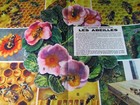 Foto 9 di 12