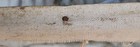 Bild 16 von 17
