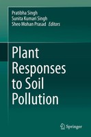 Pratibha Singh (U. A.) | Plant Responses To Soil Pollution | Buch | Englisch