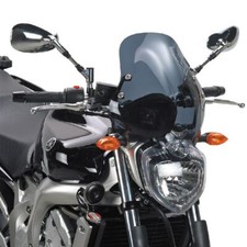 Screen for Yamaha 600 FZ6 Fazer 2004-2006