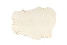 Top Quality Genuine Oil Dressed Chamois Leather for Car Cleaning & Polishing