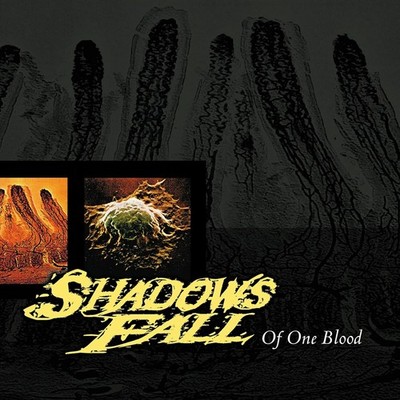 Shadows Fall Of One Blood (Vinyl) 12'' Album Coloured Vinyl