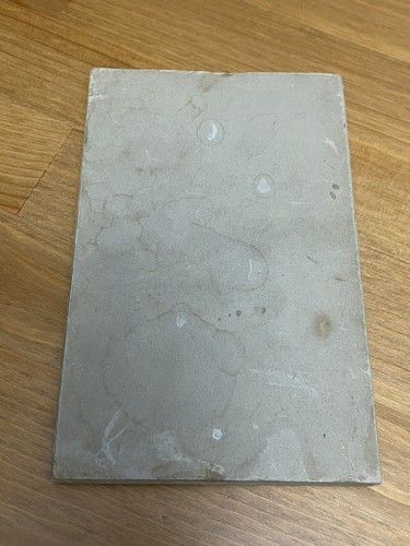 Antique Bauer & Black Handbook First Aid 1927 Accidents Injuries Poisoning Etc - Picture 2 of 12