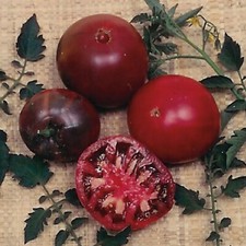 120 Russian Black Krim Tomato Seeds - NON GMO - ORGANIC - HEIRLOOM -- FRESH