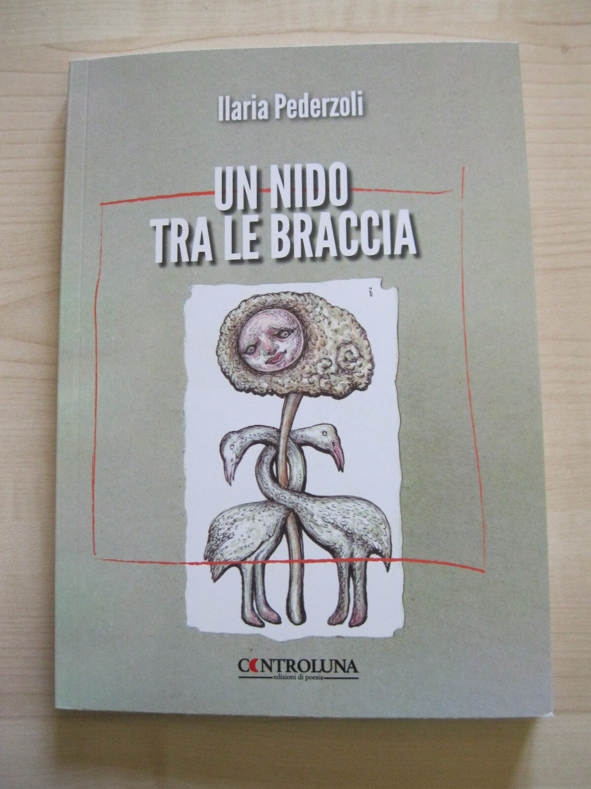 UN NIDO TRA LE BRACCIA - ILARIA PEDERZOLI - CONTROLUNA - 1^ EDIZIONE - 10/2024