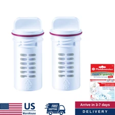 Fluidmaster 8302P8 Flush 'n Sparkle Automatic Toilet Bowl Cleaning System 2-Pack