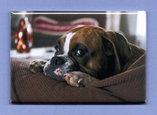 BULLDOG 2X3 FRIDGE MAGNET DOG PET MAN'S BEST FRIEND K9 PUPPY FRENCH ENGLISH