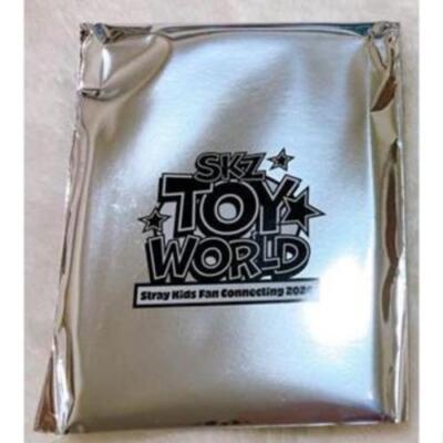 スキズ Stray Kids SKZ TOY WORLD イヤーカフ 1540 スキズ Stray Kids SKZ TOY WORLD イヤーカフ 1540 - メルカリ