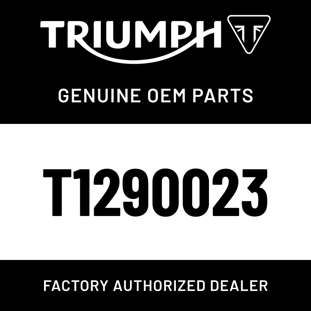 TRIUMPH Spark Plug T1290023