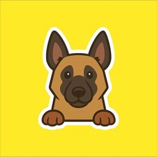 Belgian Malinois Peeking Sticker