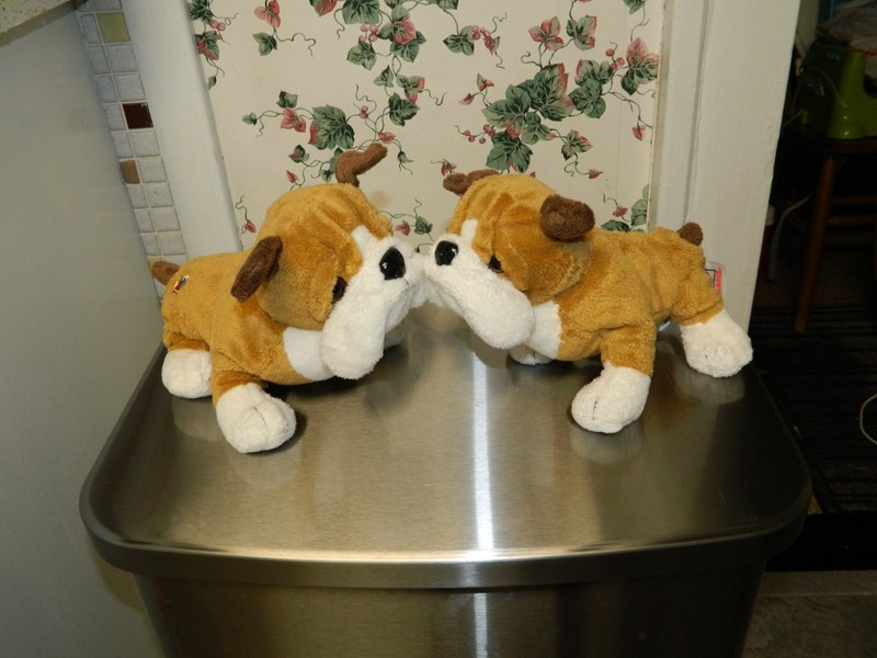 2 Ganz Webkinz Bulldogs HM126 Tan White Plush Stuffed Toy Puppy Dogs No Code
