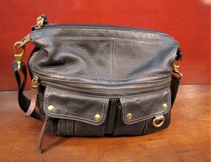 fossil messenger bolsa canada