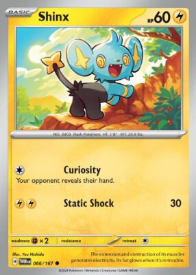 x4 Shinx - 066/167 - Common - Reverse Holo Pokemon SV06 Twilight