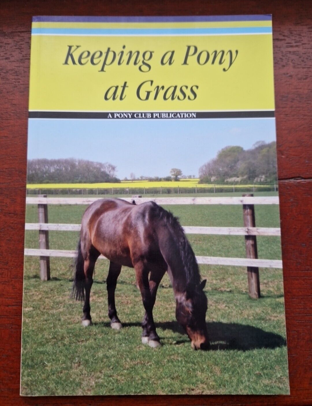 The Pony Club Keeping a Pony at Grass horse riding horses equestrian ponies kids