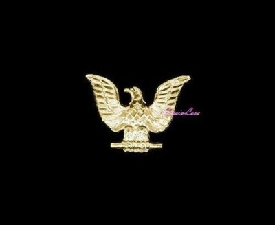 US Navy Eagle (goldtone) 1-1/4'' + a custom promo pin